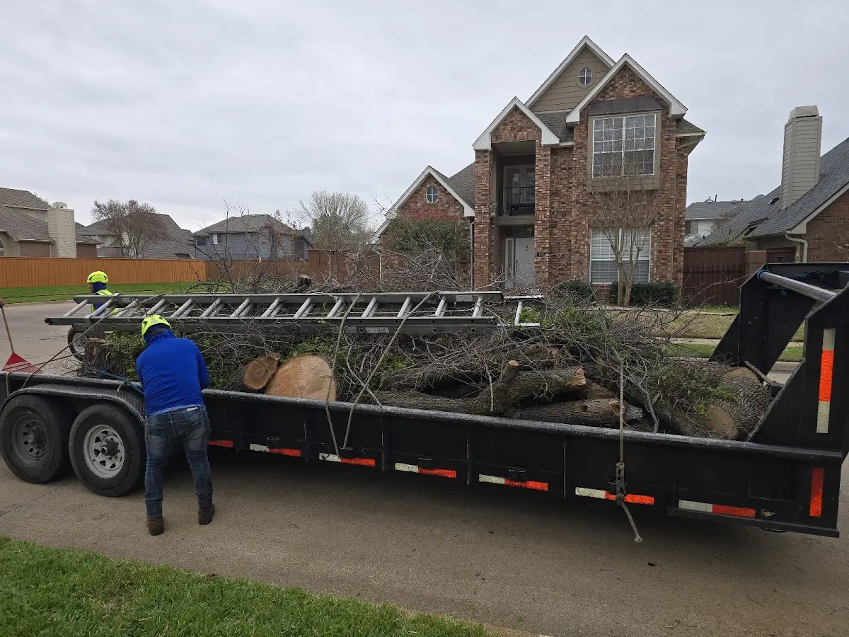Expert Lot Clearing with proper safety equipment in Ropesville